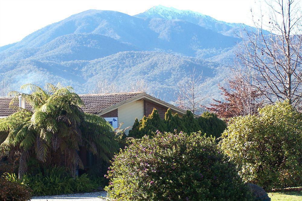 Bogong Moth Motel Mount Beauty Kültér fotó